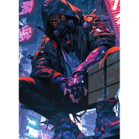 Cyber Ninja