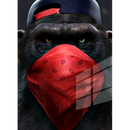 Mask Monkey