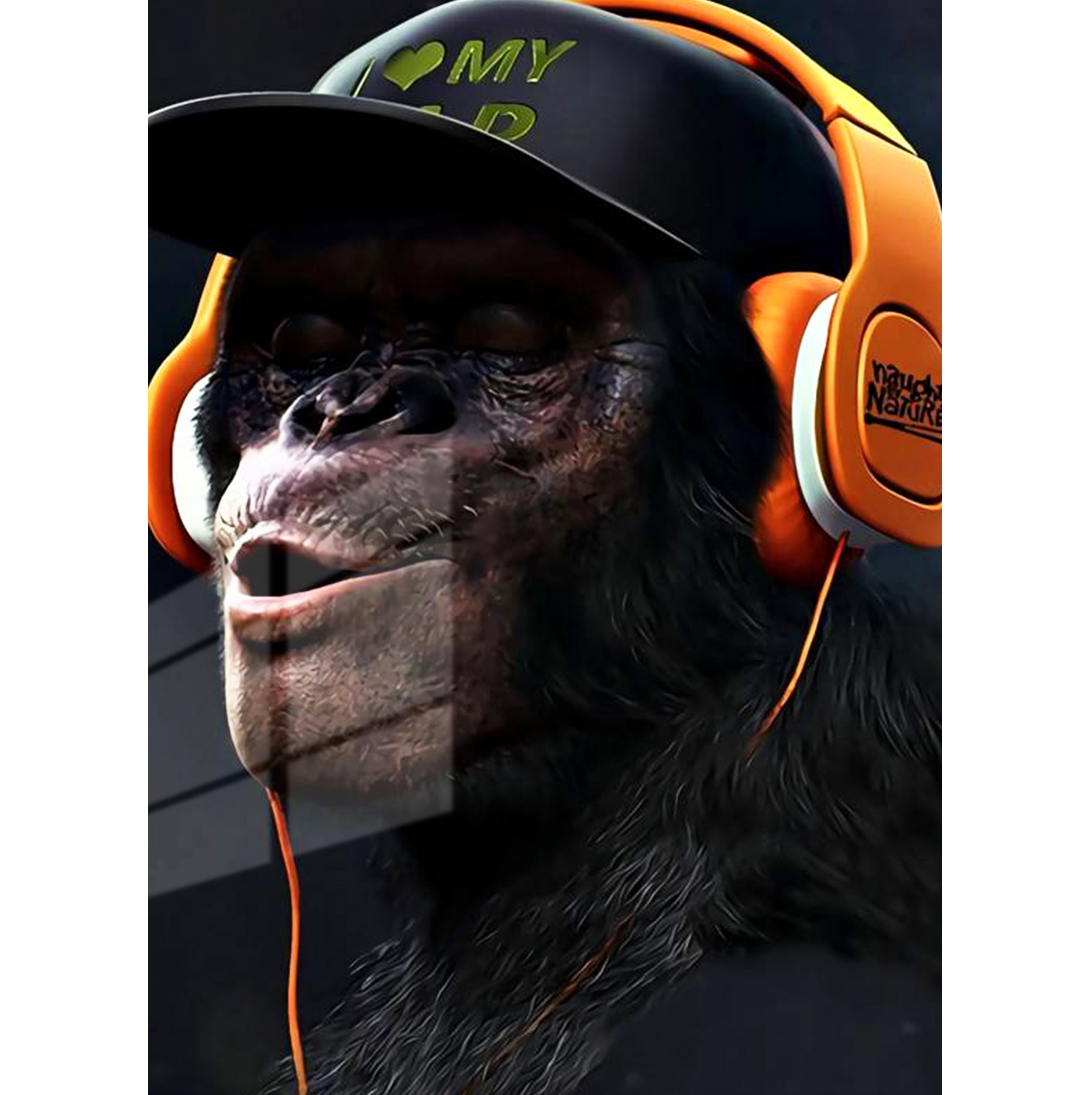 Monkey Music